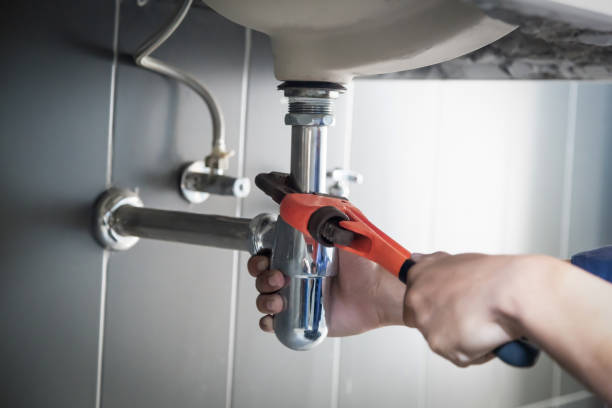 Best Local Plumber Services  in Lewisburg, KY
